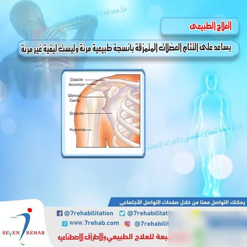 العلاج الطبيعى يساعد على التئام العضلات المتمزقة بأنسجة طبيعية مرنة وليست ليفية غير مرنة