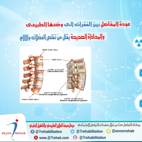 عودة المفاصل بين الفقرات الى وضعها الطبيعى والمحاذاة الصحيحة يقلل من تقلص العضلات والآلام