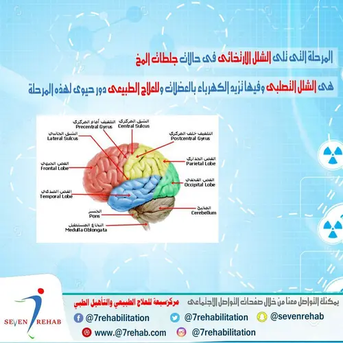 تقليل الالم و  تقليل الضغط على الاعصاب وتقوية العضلات من اهم اهداف العلاج الطبيعى حالات ضيق القناة الشوكية